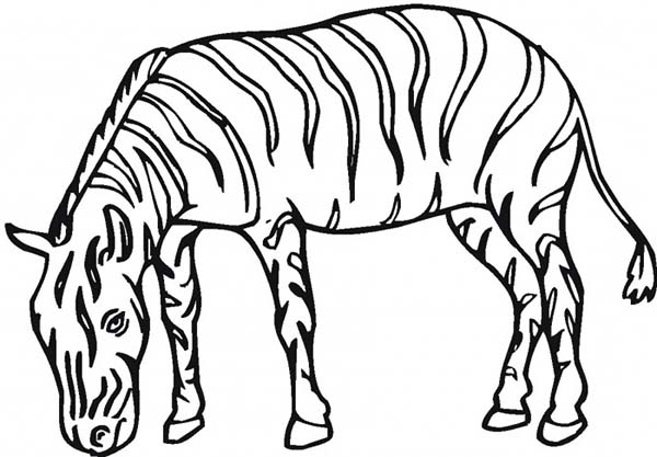 Disegno da colorare: Zebra (Animali) #13133 - Pagine da Colorare Stampabili Gratuite