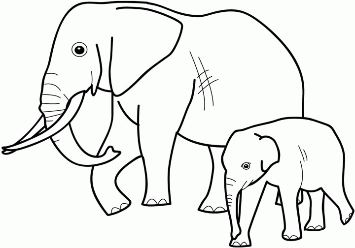 Disegno da colorare: Zoo (Animali) #12728 - Pagine da Colorare Stampabili Gratuite