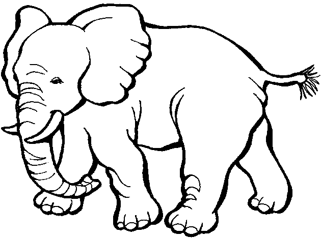 Disegno da colorare: Zoo (Animali) #12787 - Pagine da Colorare Stampabili Gratuite