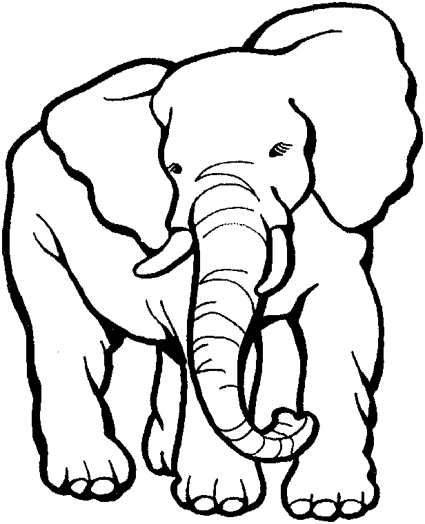 Disegno da colorare: Zoo (Animali) #12801 - Pagine da Colorare Stampabili Gratuite