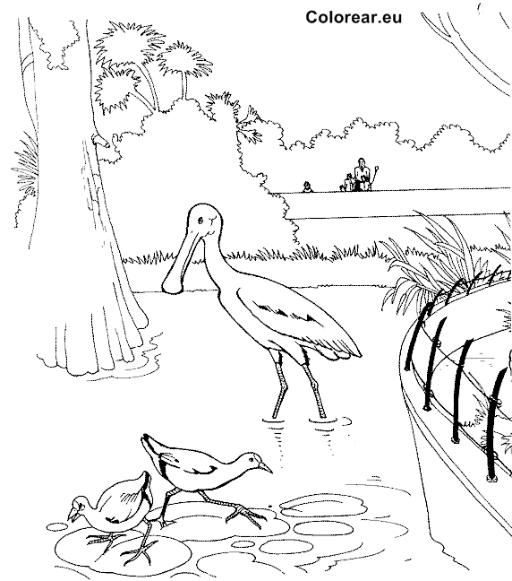 Disegno da colorare: Zoo (Animali) #12833 - Pagine da Colorare Stampabili Gratuite