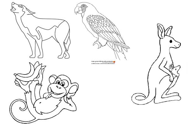 Disegno da colorare: Zoo (Animali) #12839 - Pagine da Colorare Stampabili Gratuite