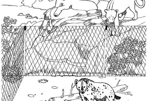 Disegno da colorare: Zoo (Animali) #12846 - Pagine da Colorare Stampabili Gratuite