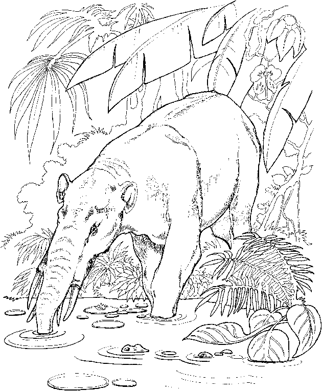 Disegno da colorare: Zoo (Animali) #12903 - Pagine da Colorare Stampabili Gratuite