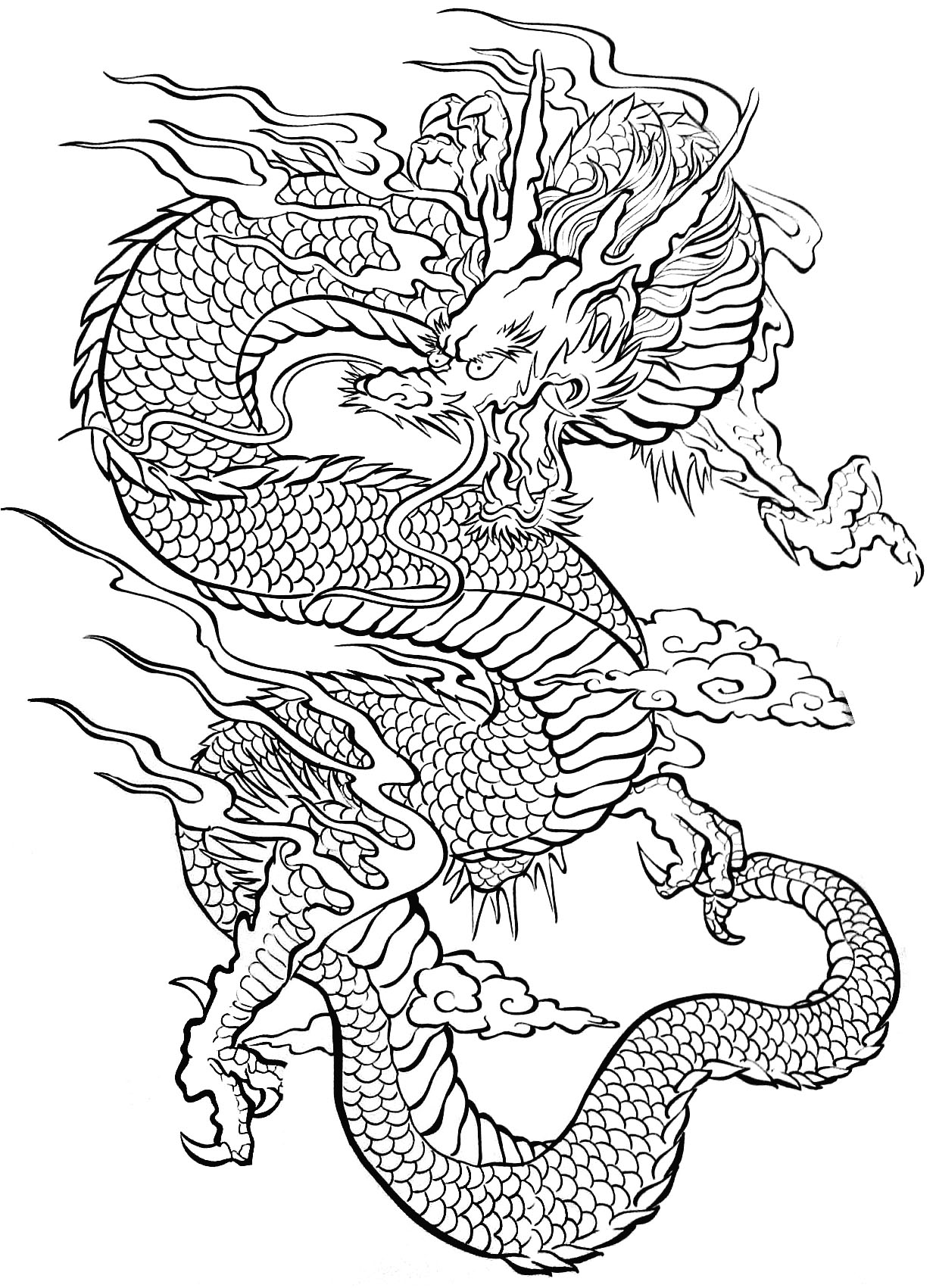 Disegno da colorare: Drago (Caratteri) #148394 - Pagine da Colorare Stampabili Gratuite