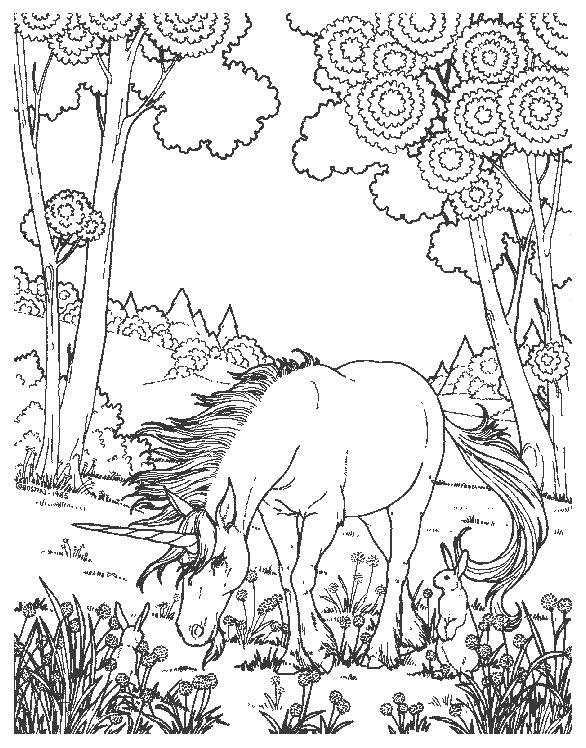 Disegno da colorare: unicorno (Caratteri) #19468 - Pagine da Colorare Stampabili Gratuite