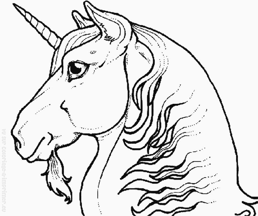 Disegno da colorare: unicorno (Caratteri) #19567 - Pagine da Colorare Stampabili Gratuite