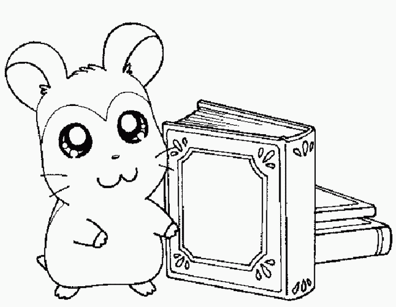 Disegno da colorare: Hamtaro (Cartoni animati) #40117 - Pagine da Colorare Stampabili Gratuite