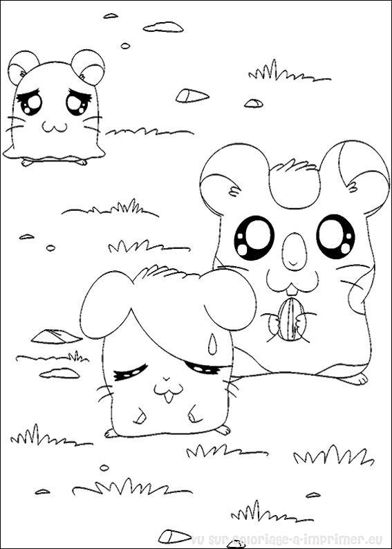 Disegno da colorare: Hamtaro (Cartoni animati) #40188 - Pagine da Colorare Stampabili Gratuite