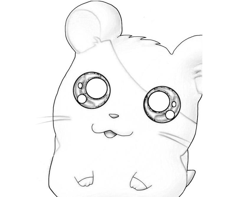 Disegno da colorare: Hamtaro (Cartoni animati) #40209 - Pagine da Colorare Stampabili Gratuite