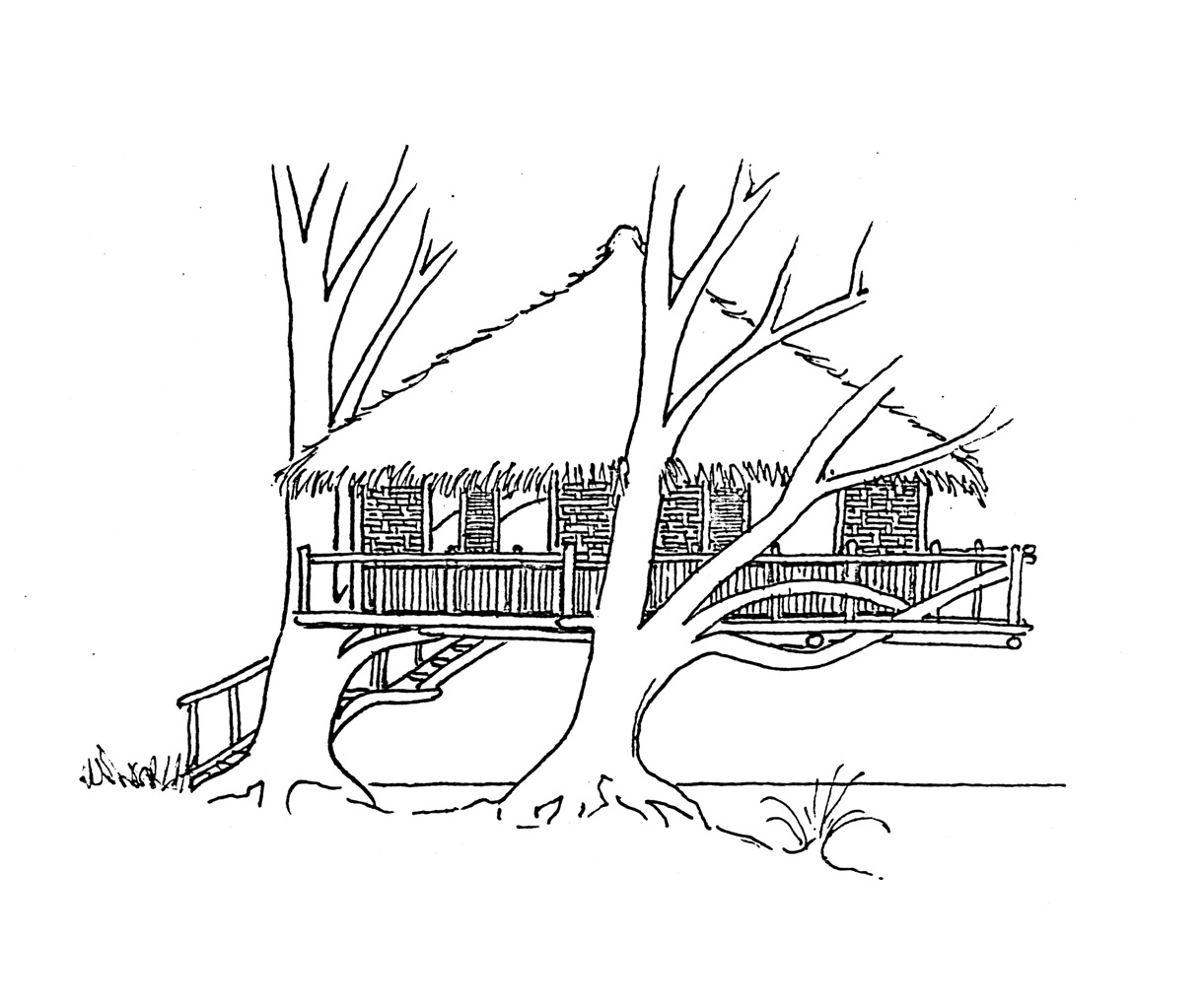 Disegno da colorare: Casa sull'albero (Edifici e architettura) #66040 - Pagine da Colorare Stampabili Gratuite