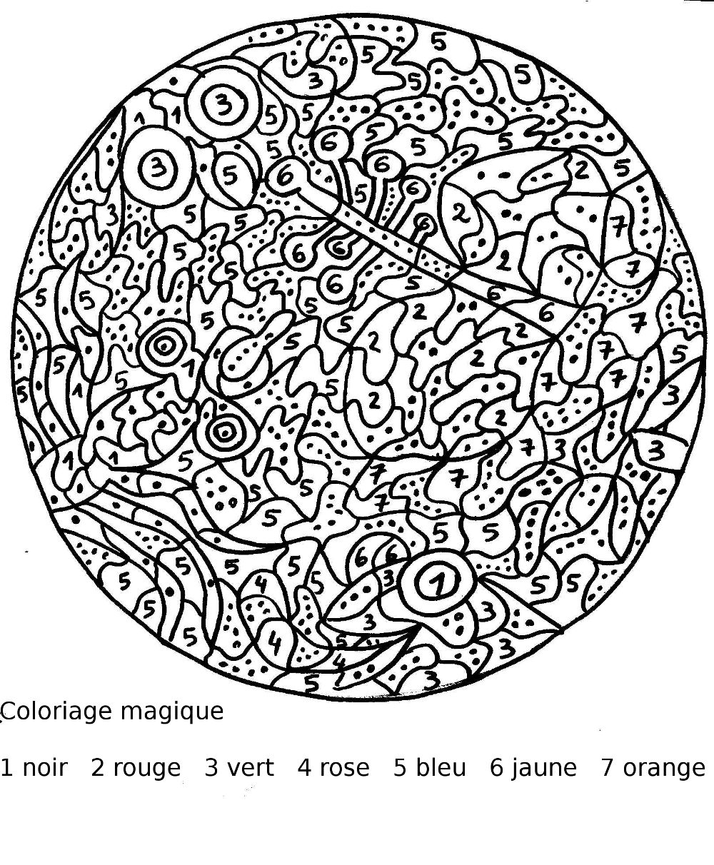 Disegno da colorare: colorazione magica (educativo) #126110 - Pagine da Colorare Stampabili Gratuite