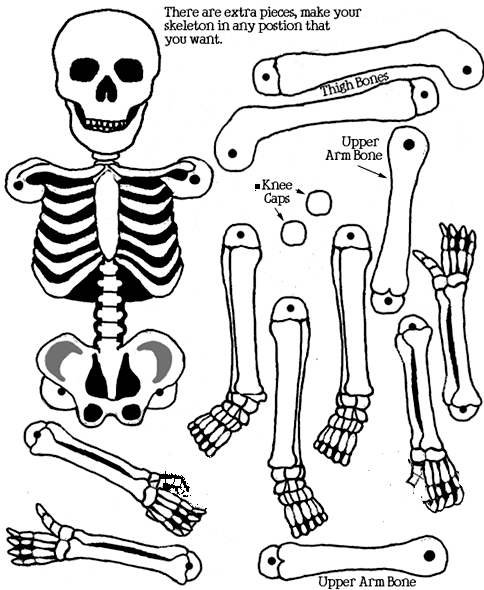 Disegno da colorare: Halloween (Festività e occasioni speciali) #55348 - Pagine da Colorare Stampabili Gratuite