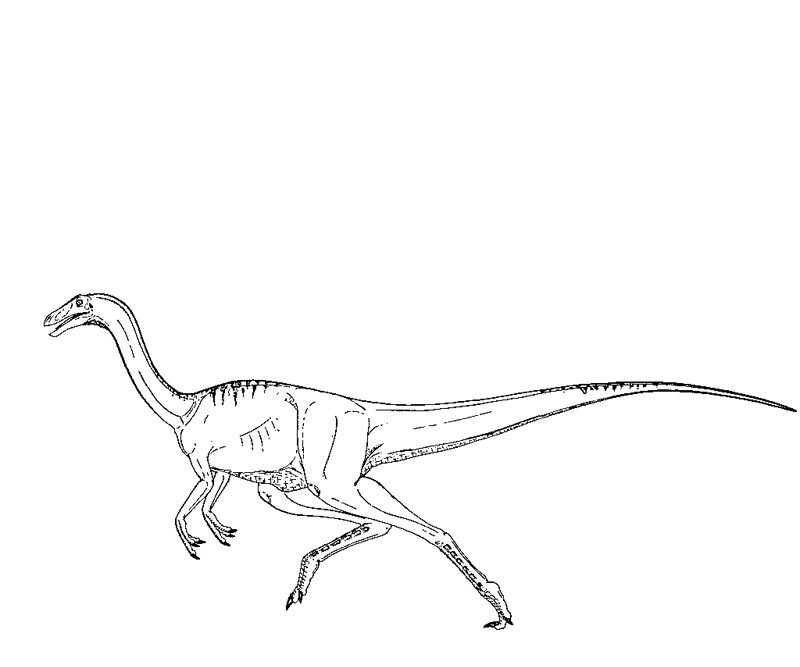 Disegno da colorare: Jurassic Park (Film e Serie TV) #15903 - Pagine da Colorare Stampabili Gratuite