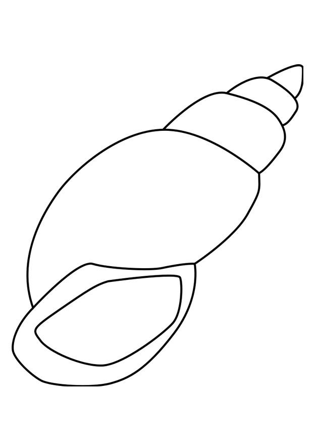 Disegno da colorare: Conchiglia (Natura e Stagioni) #163153 - Pagine da Colorare Stampabili Gratuite