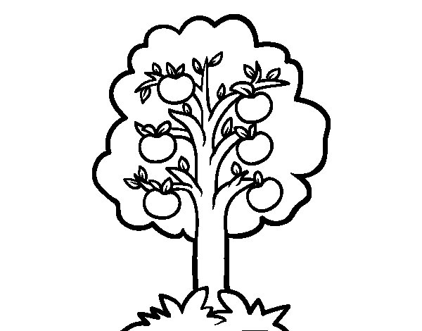 Disegno da colorare: Melo (Natura e Stagioni) #163751 - Pagine da Colorare Stampabili Gratuite
