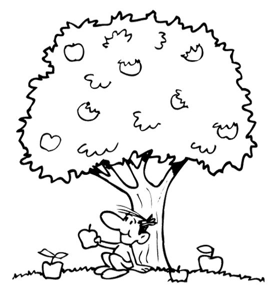 Disegno da colorare: Melo (Natura e Stagioni) #163777 - Pagine da Colorare Stampabili Gratuite