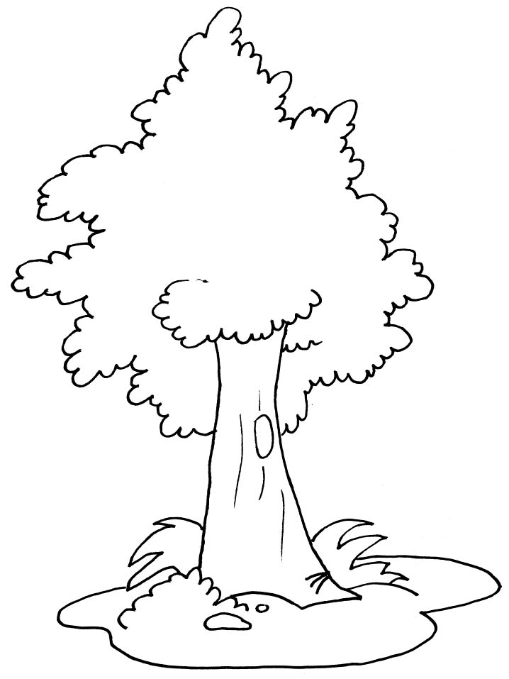 Disegno da colorare: ALBERO (Natura) #154680 - Pagine da Colorare Stampabili Gratuite