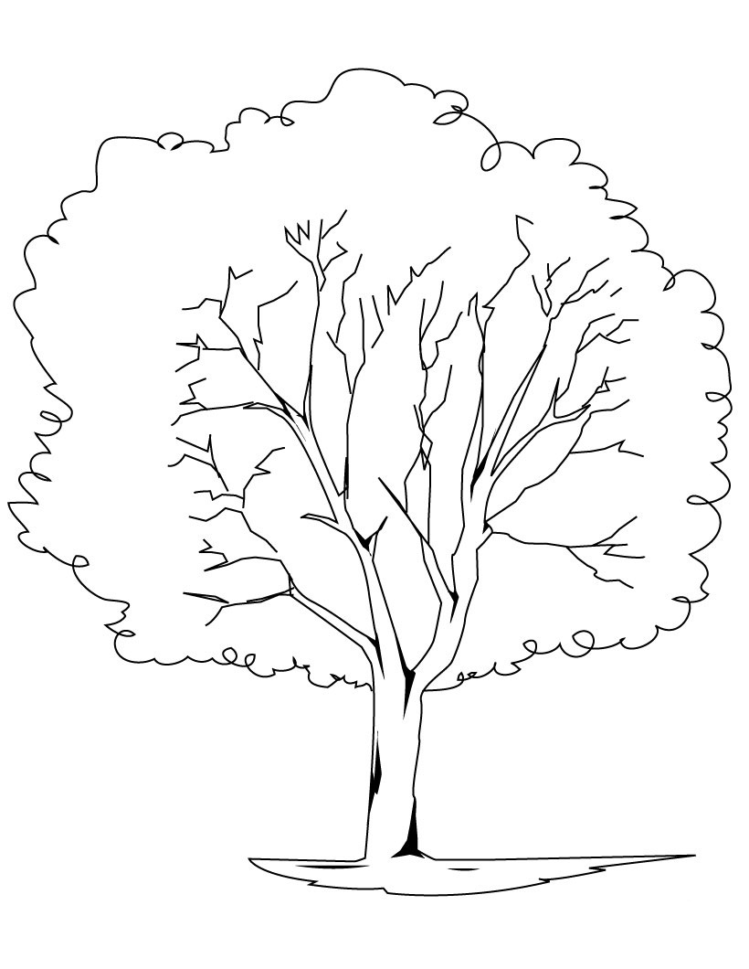 Disegno da colorare: ALBERO (Natura) #154693 - Pagine da Colorare Stampabili Gratuite