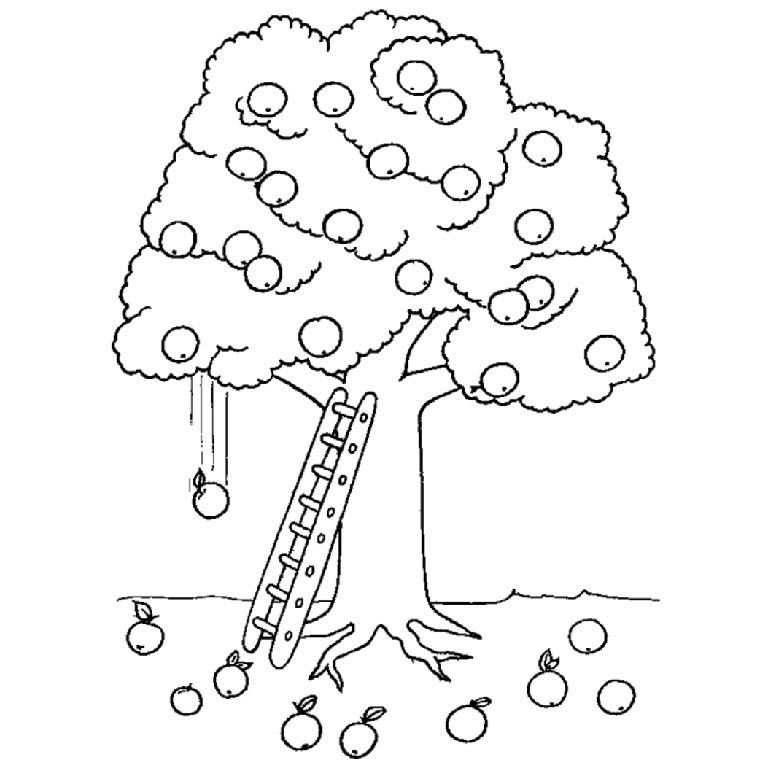 Disegno da colorare: ALBERO (Natura) #154718 - Pagine da Colorare Stampabili Gratuite