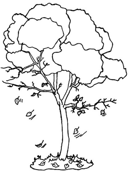 Disegno da colorare: ALBERO (Natura) #154720 - Pagine da Colorare Stampabili Gratuite