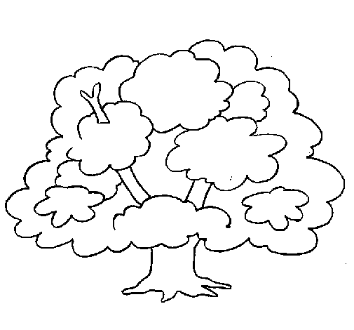 Disegno da colorare: ALBERO (Natura) #154730 - Pagine da Colorare Stampabili Gratuite