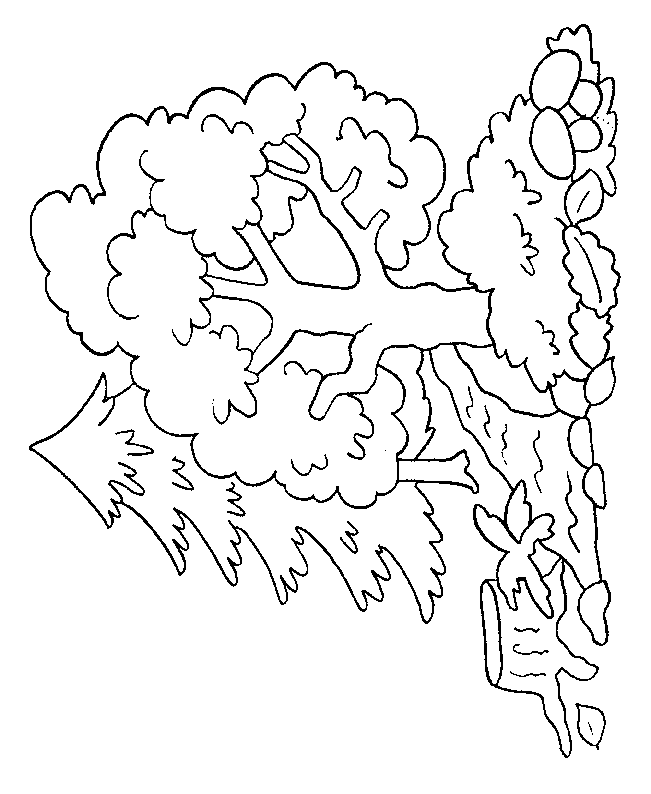 Disegno da colorare: ALBERO (Natura) #154741 - Pagine da Colorare Stampabili Gratuite