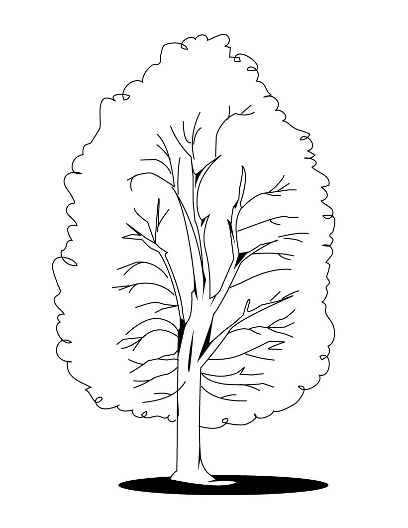 Disegno da colorare: ALBERO (Natura) #154791 - Pagine da Colorare Stampabili Gratuite