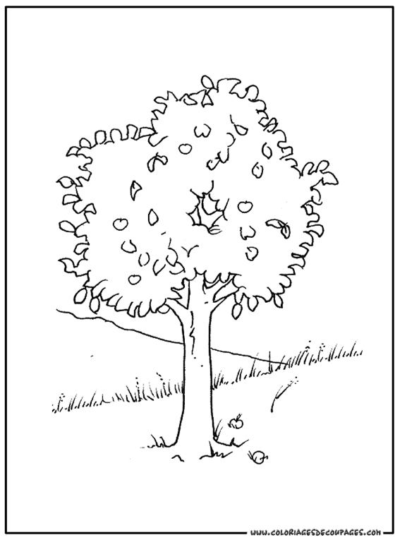 Disegno da colorare: ALBERO (Natura) #154804 - Pagine da Colorare Stampabili Gratuite