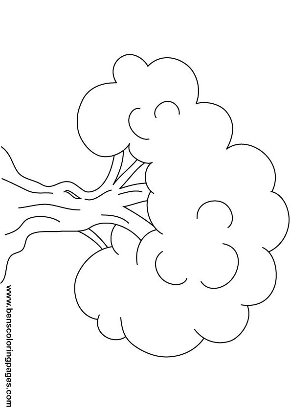 Disegno da colorare: ALBERO (Natura) #154826 - Pagine da Colorare Stampabili Gratuite