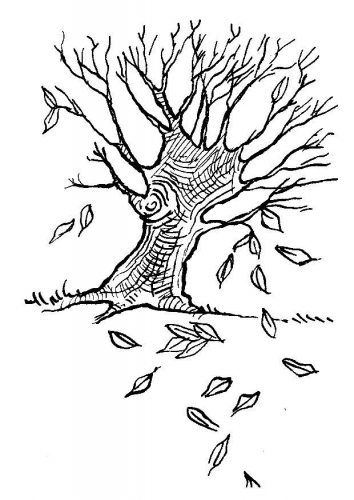 Disegno da colorare: ALBERO (Natura) #154880 - Pagine da Colorare Stampabili Gratuite