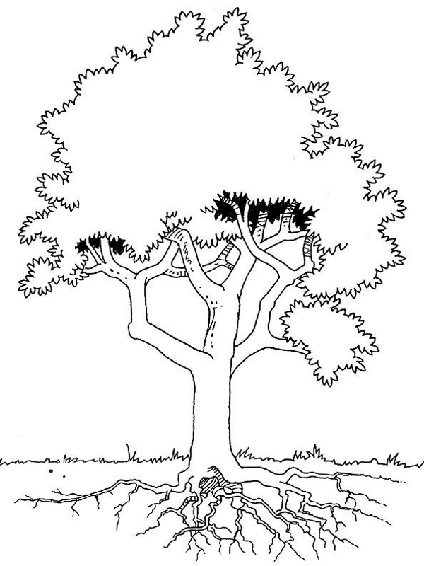 Disegno da colorare: ALBERO (Natura) #154887 - Pagine da Colorare Stampabili Gratuite