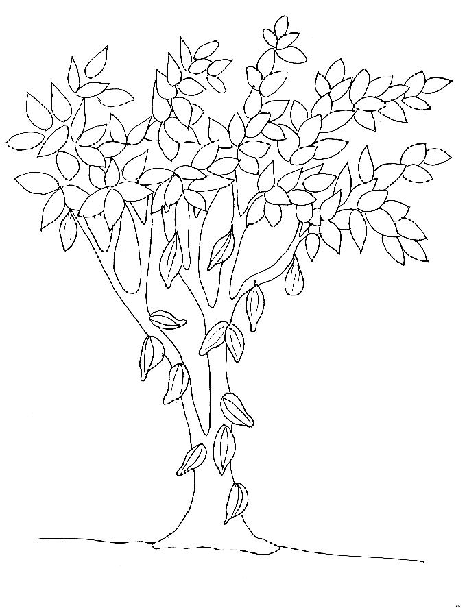 Disegno da colorare: ALBERO (Natura) #154928 - Pagine da Colorare Stampabili Gratuite