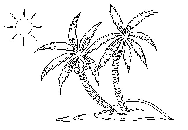 Disegno da colorare: Albero di cocco (Natura) #162123 - Pagine da Colorare Stampabili Gratuite