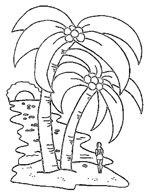 Disegno da colorare: Albero di cocco (Natura) #162367 - Pagine da Colorare Stampabili Gratuite