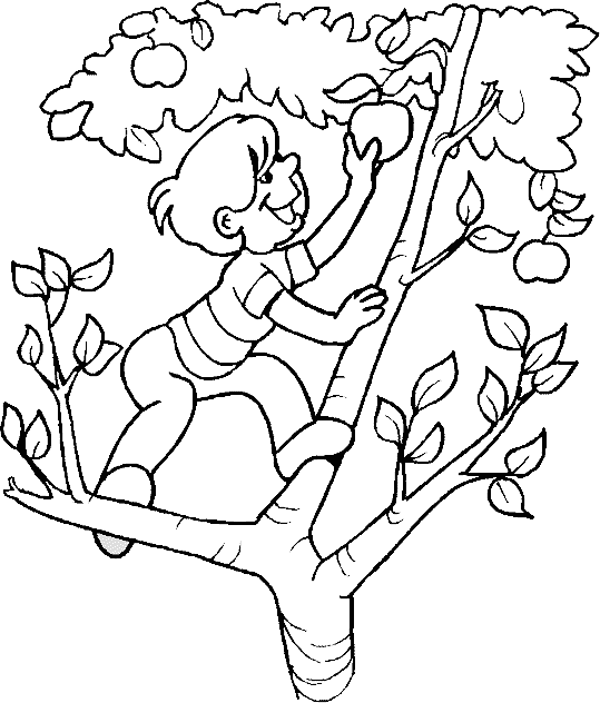 Disegno da colorare: albero di mele (Natura) #163444 - Pagine da Colorare Stampabili Gratuite
