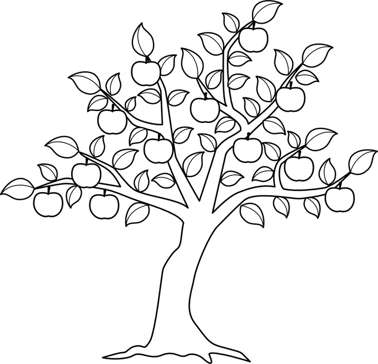 Disegno da colorare: albero di mele (Natura) #163762 - Pagine da Colorare Stampabili Gratuite