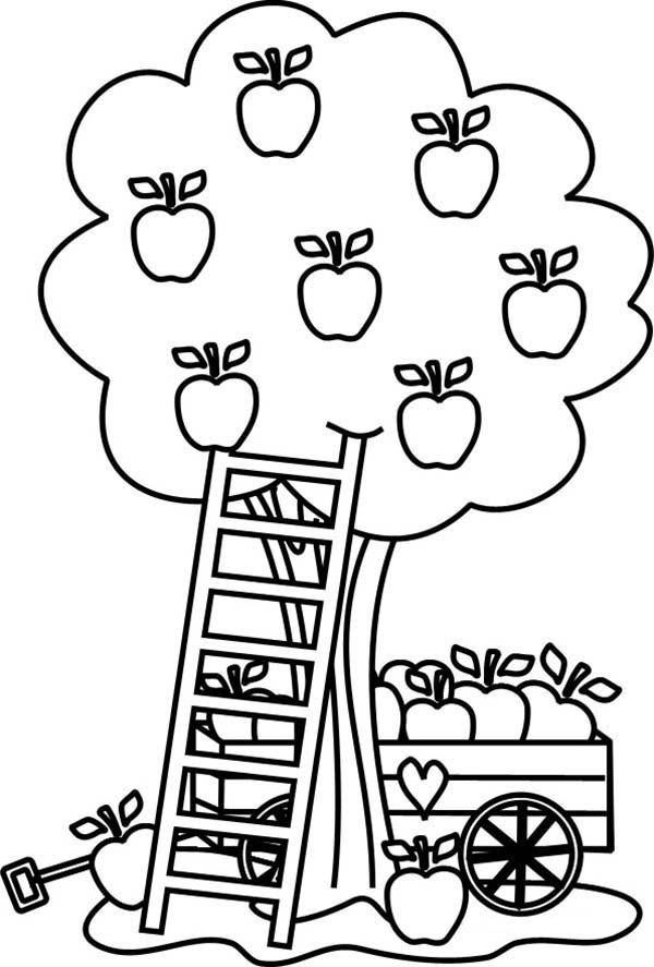 Disegno da colorare: albero di mele (Natura) #163775 - Pagine da Colorare Stampabili Gratuite