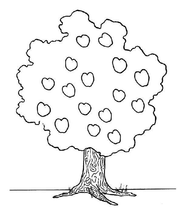 Disegno da colorare: albero di mele (Natura) #163805 - Pagine da Colorare Stampabili Gratuite