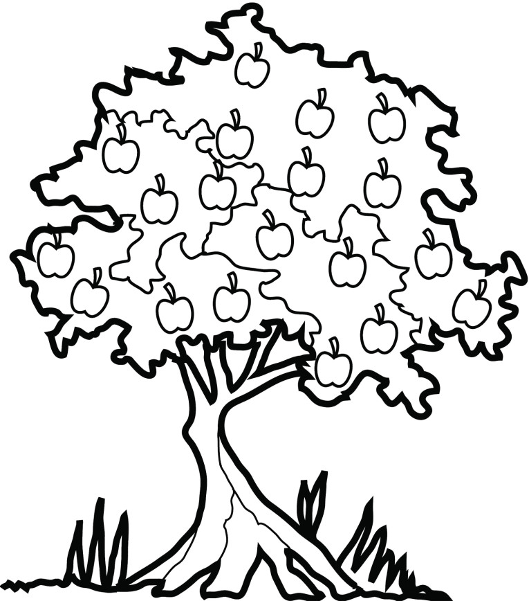 Disegno da colorare: albero di mele (Natura) #163810 - Pagine da Colorare Stampabili Gratuite