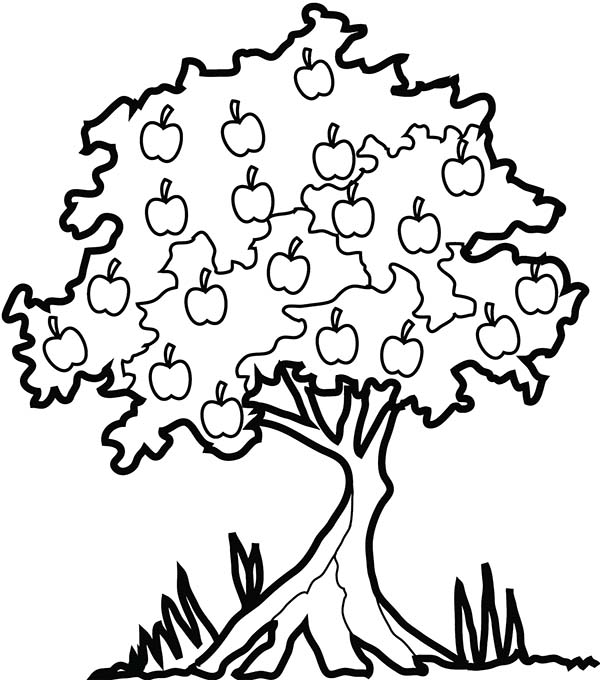 Disegno da colorare: albero di mele (Natura) #163846 - Pagine da Colorare Stampabili Gratuite