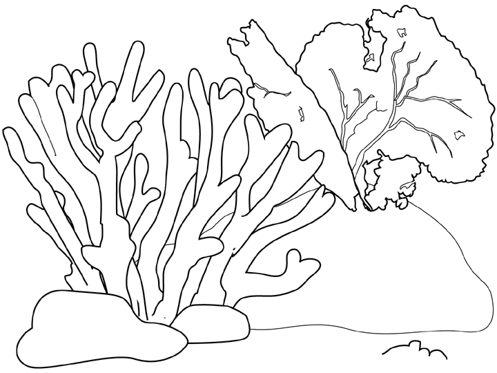 Disegno da colorare: Corallo (Natura) #162779 - Pagine da Colorare Stampabili Gratuite