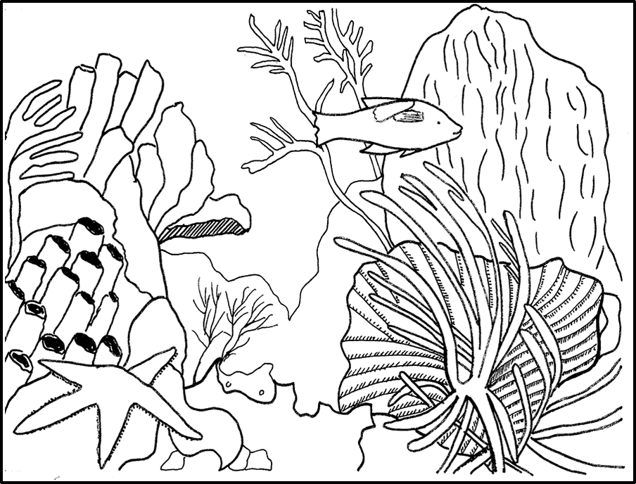 Disegno da colorare: Corallo (Natura) #162899 - Pagine da Colorare Stampabili Gratuite