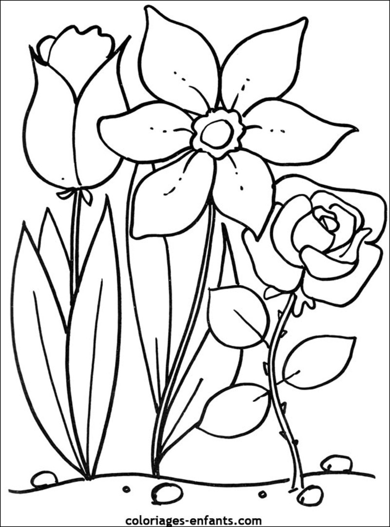 Disegno da colorare: fiori (Natura) #154975 - Pagine da Colorare Stampabili Gratuite