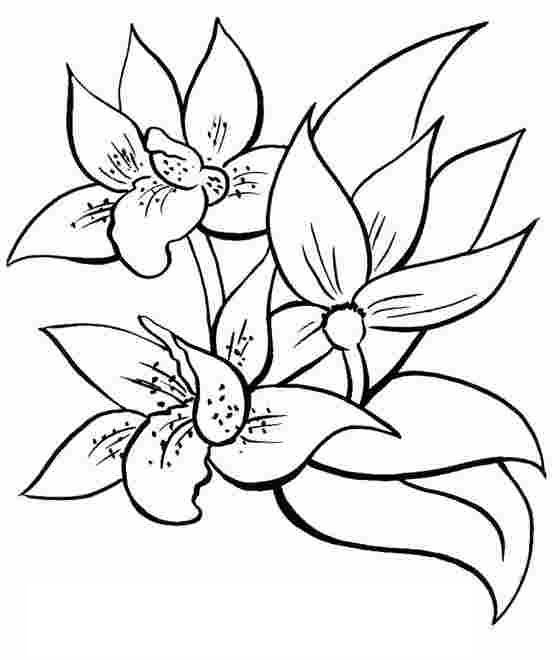 Disegno da colorare: fiori (Natura) #154979 - Pagine da Colorare Stampabili Gratuite