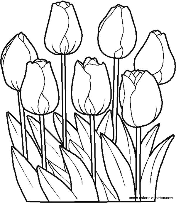 Disegno da colorare: fiori (Natura) #154985 - Pagine da Colorare Stampabili Gratuite