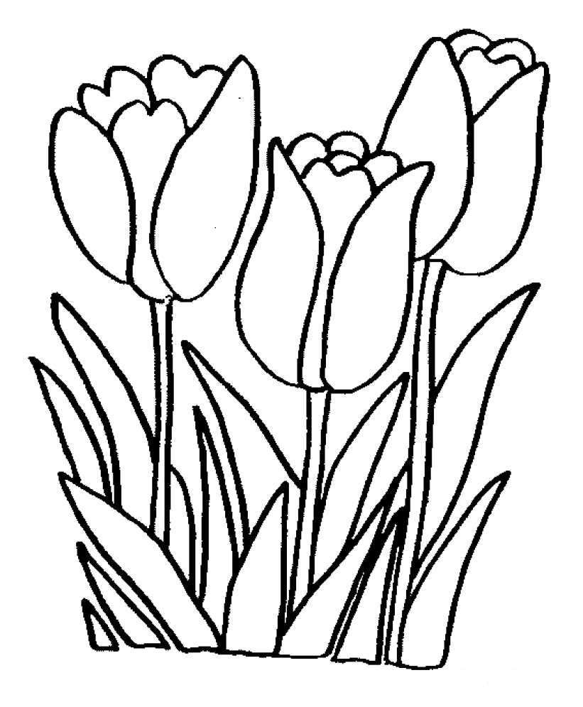 Disegno da colorare: fiori (Natura) #154991 - Pagine da Colorare Stampabili Gratuite
