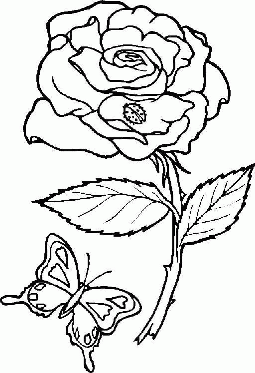 Disegno da colorare: fiori (Natura) #154996 - Pagine da Colorare Stampabili Gratuite