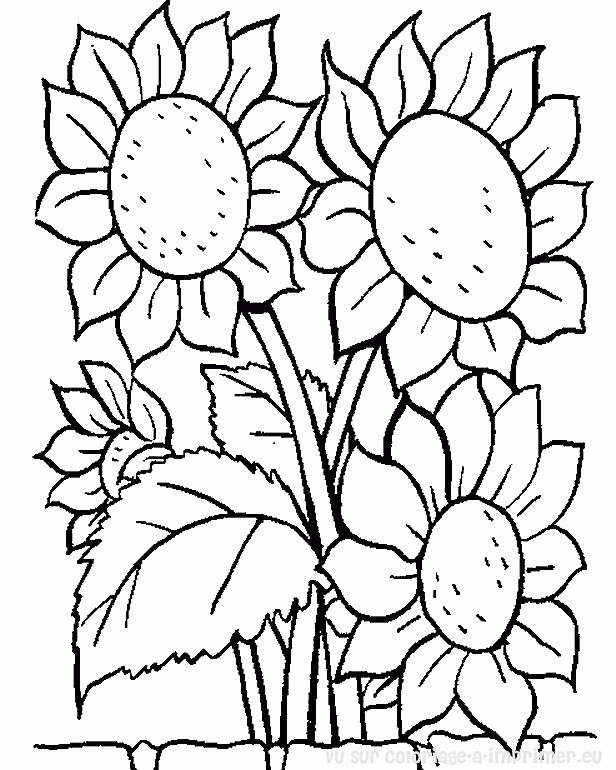 Disegno da colorare: fiori (Natura) #155000 - Pagine da Colorare Stampabili Gratuite