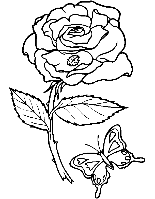 Disegno da colorare: fiori (Natura) #155018 - Pagine da Colorare Stampabili Gratuite